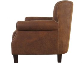 Pioneer Leather Armchair Profile