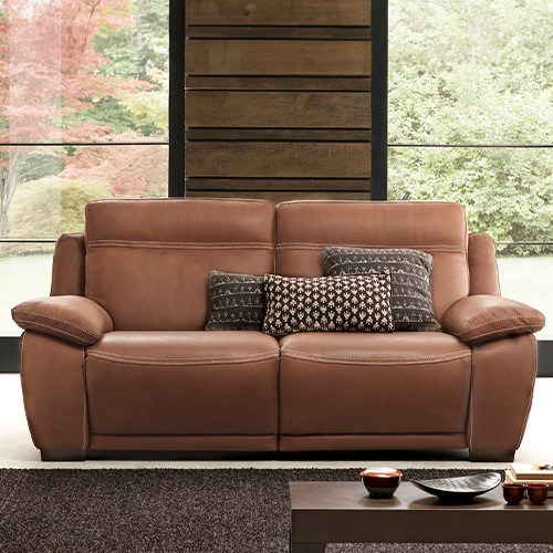 Leather Sofas