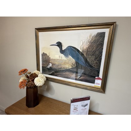 Blue Crane picture Blue Crane picture