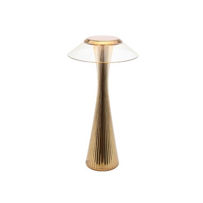 Space by Adam Tihany Gold Lamp