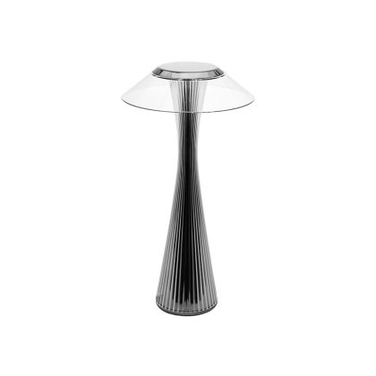 Space by Adam Tihany Titanium Lamp