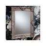 Cleary Silver Mirror 46.5 x 35,Antique silver finish 46.5 x 35 inch mirror Decorative frame