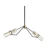 Raef Bronze and Brass Linear 2 Light Chandelier