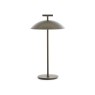 GEEN-A by Ferruccio Laviani Bronze Direct Mains Table Lamp