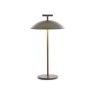 GEEN-A by Ferruccio Laviani Bronze Direct Mains Table Lamp GEEN-A by Ferruccio Laviani Bronze Direct Mains Table Lamp